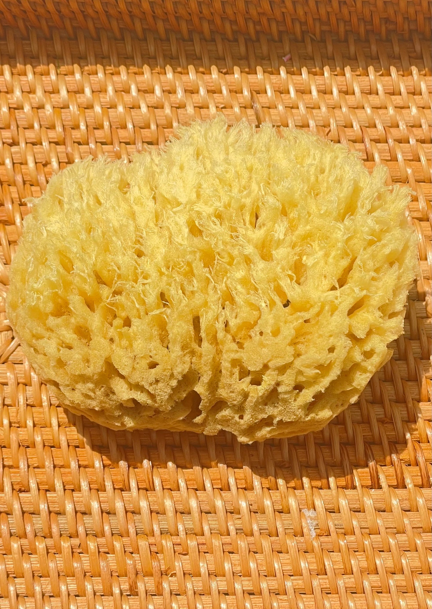 Bath Sponge