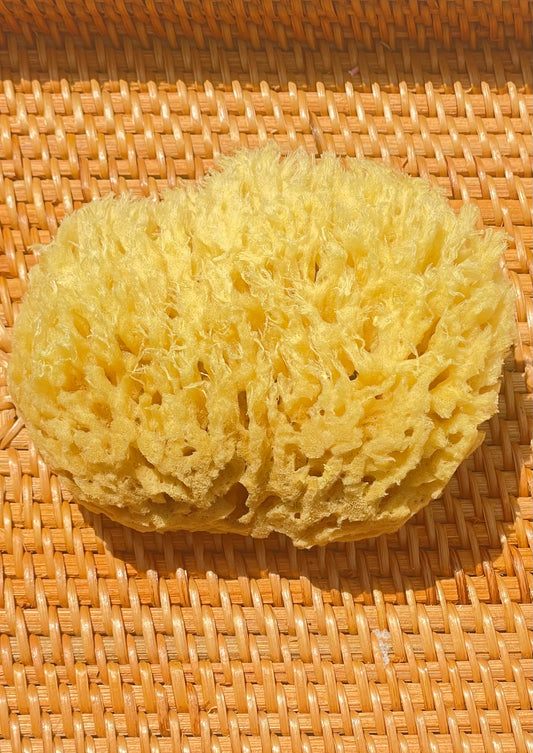 Bath Sponge